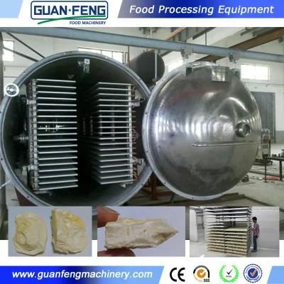 200m2 Vacuum Freeze Dryer Lyophilizer for Lime Slice Processing
