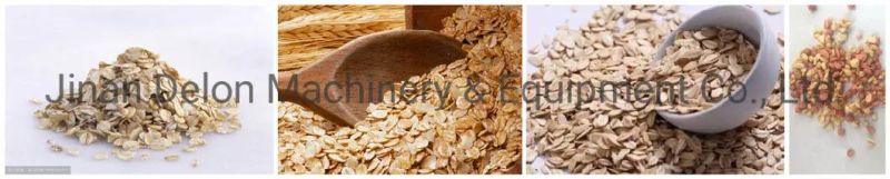 Breakfast Cereal Oatmeal Processing Equipment Oatmeal Tablet Machine