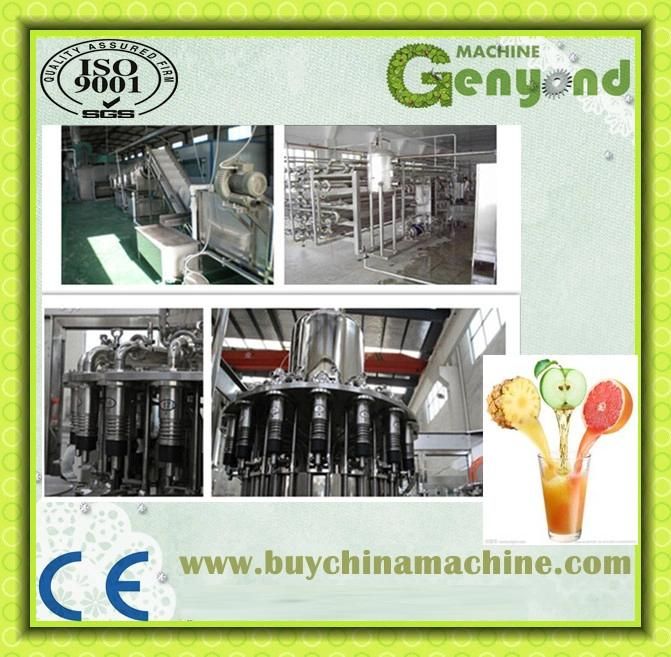 Shanghai Full Aotumatic Mango Juice Processing Machine