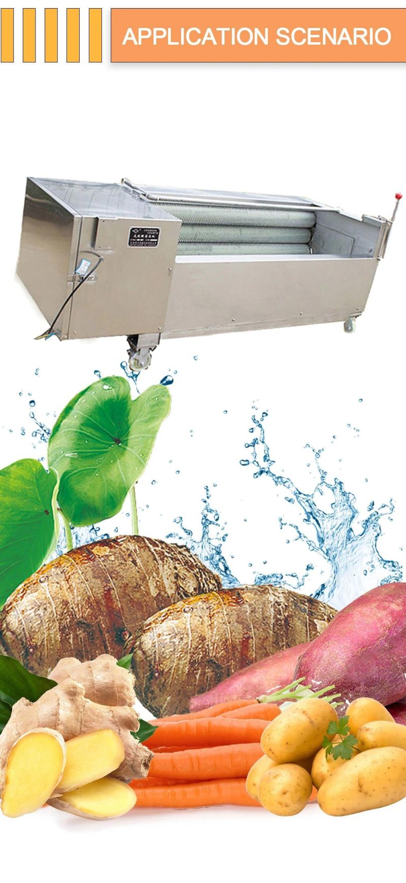 Commercial Washing Machine Potato Carrot Peeling Machine Roots Vegetable Cleaning Machine