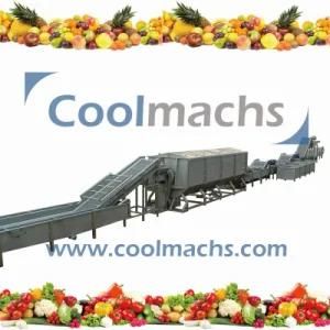 Frozen Vegetables Line/Agriculture Products Freezing Processing Line