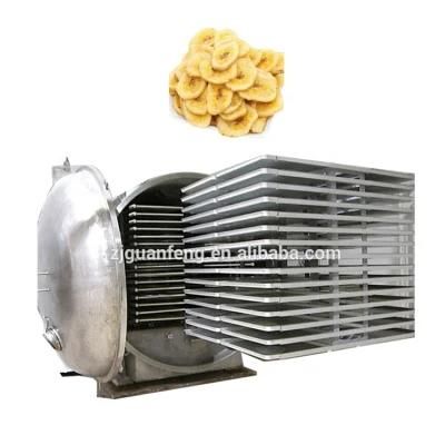 Professional Food Processing Dryer Lyophilizer Apple Fruit Freeze Dryer Equipment