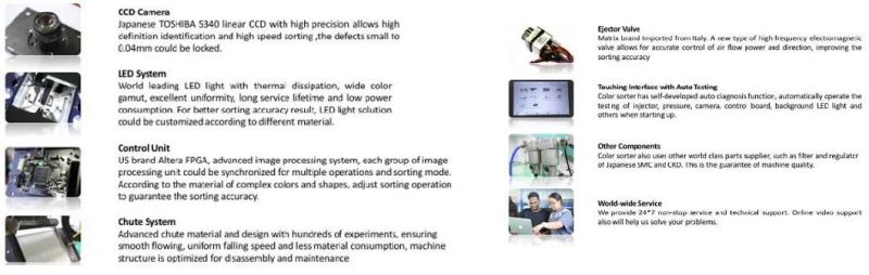 5 Chutes 320 Channels Thailand Rice Color Sorter Machine From Wenyao China