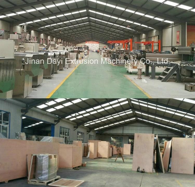 2D 3D Pellet Snack Food Process Line From Jinan Dayi