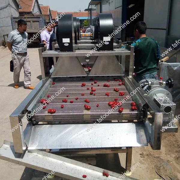 Vegetable Processing Leafy Green Vegetables Bubble Washing Machine with Dryer