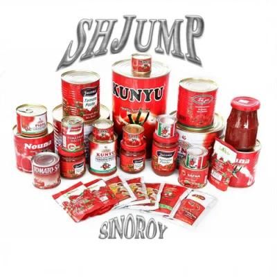1-3 Tons Canned Tomato Paste Jam Source Ketchup Processing Line and Machine