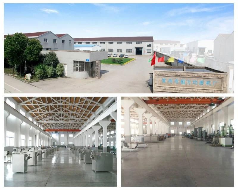 Small Homogenizer Mixer of Reasonable Price