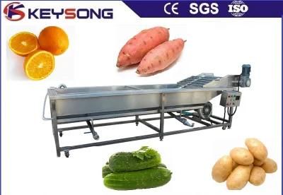 High Quality Fruits Vegetables Washing Processing Cleaning Machinery