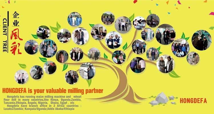 Small Scale Sifted Corn Milling Machinery Maize Flour Milling Machines 