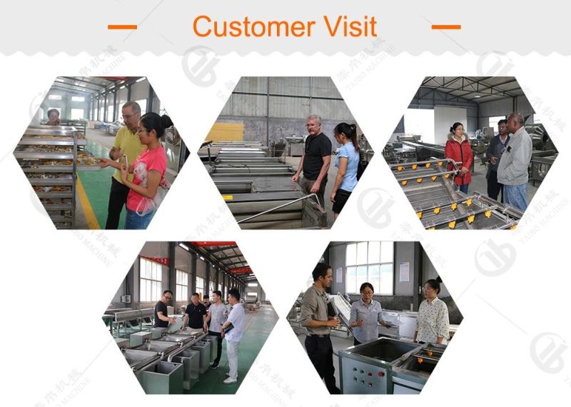 SUS304 Round Fruit Washing Waxing Size Grading Line for Factory