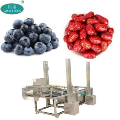Continuous Antomatic High Pressure Date Washer Blueberry Washing Machine