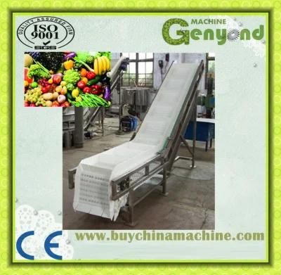 Clean Vegetables Fruit Processing Line in China