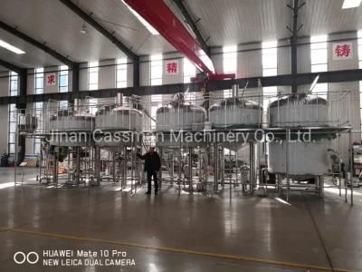 Cassman Commercial 3000L 5000L Brewing System Beer Brewery for Turnkey Factory