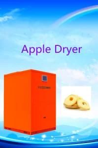 Automatic Drying System High-Level Apple Dryer/Fruit Heat Pump Dryer