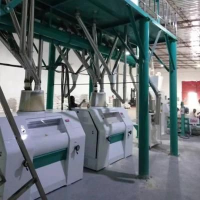 Complete 50t/24h Corn Flour Mill Machine Corn Mill for Nigeria