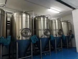 100L 200L 300L 3bbl 3000L Stainless Steel Bright Beer Storage Tank Bbt