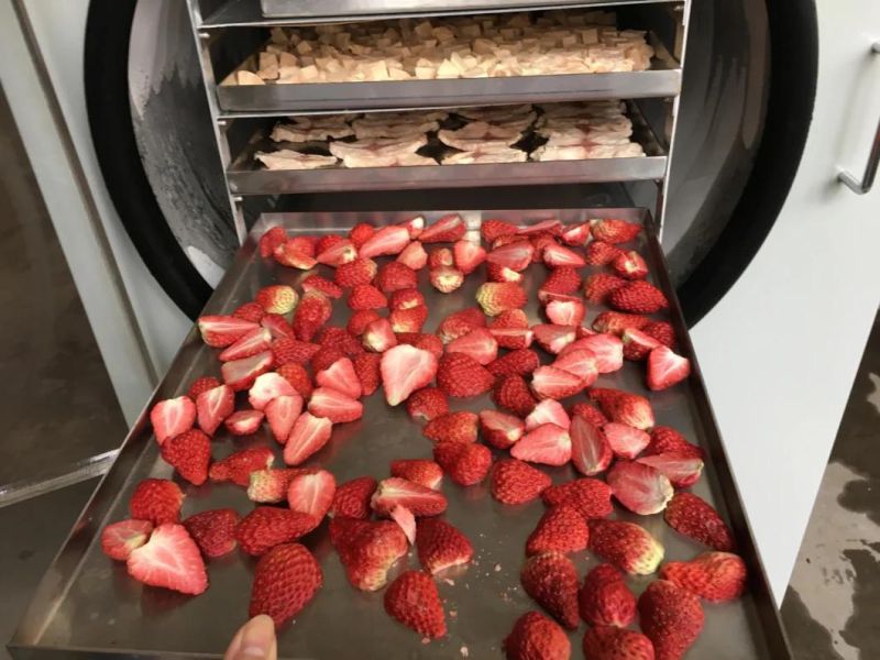 Freeze Dried Fruit Freezing Machine Dried Strawberry Vacuum Freeze Dryer