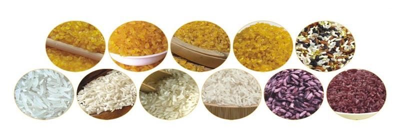 Artificial Nutrition Rice Equipment Process Line