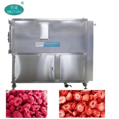 Lab Vacuum Freeze Dryer Freeze Drying Machine