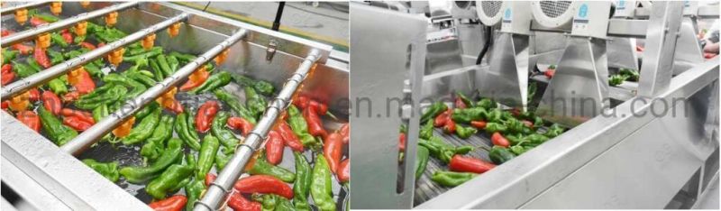 Pepper Washing and Drying Line Vegetable Processing Line