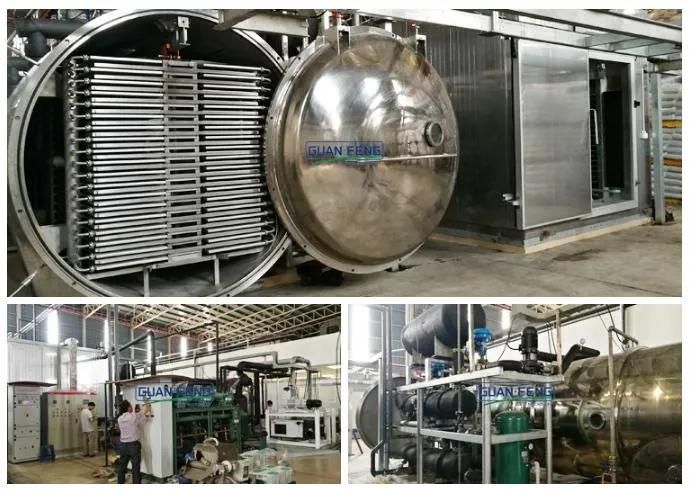 1000kg Vegetable Freeze Drying Machine Eggplant Lyophilization Equipment