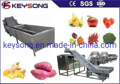 Continuous Operation Air Bubble Washer Food Processing Machinery