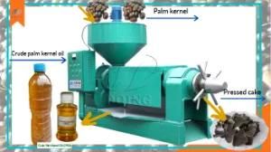 Low Price High Quality Palm Kernel Oil Extraction Machine