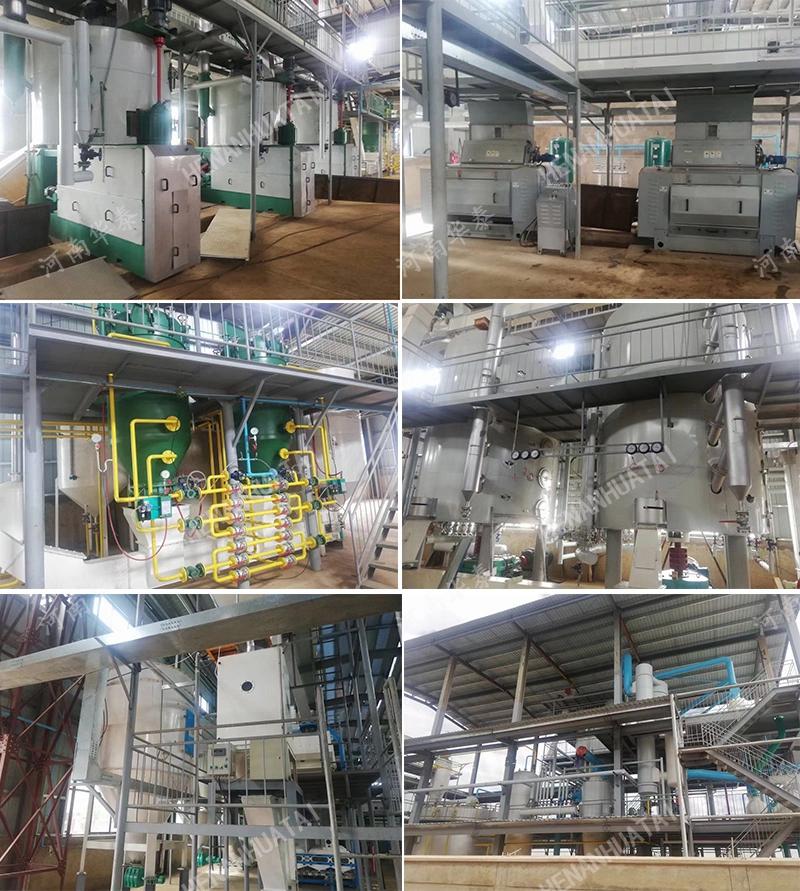 Cottonseed Soybean Peanut Sunflower Scale Cold Screw Oil Press Machine High Productivity for Commercial