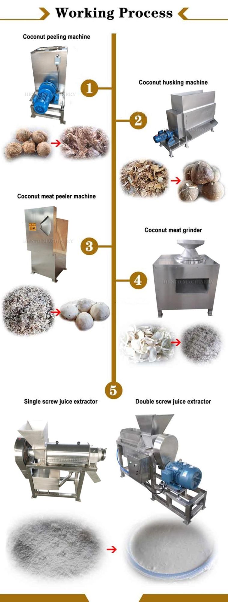 Automatic Coconut Peeling Machine / Coconut Milk Extracting Machine
