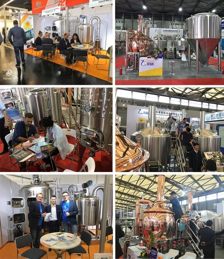 300L 500L 1000L Alcohol Processing Fermenting Equipment Processing Brewery Equipment