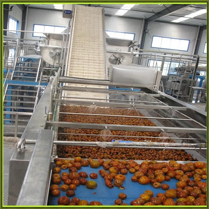 Automatic Stainless Steel Dates Pitting Machine
