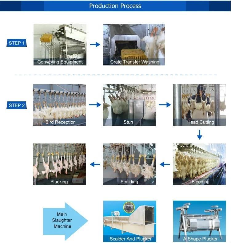 Slaughterhouse Equipment and Tools Halal Abattoir Line Broiler Chicken Poultry Slaughter Equipment Machine Price