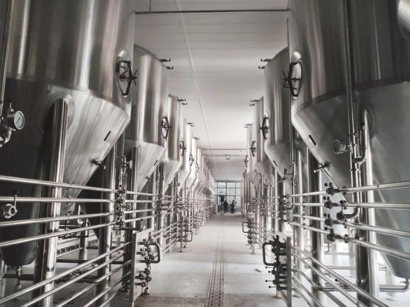 800L Craft Beer Use High Quality Stainless Steel 304 Fermenting Equipment