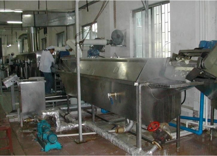 Fresh Potato Chip Processing Line