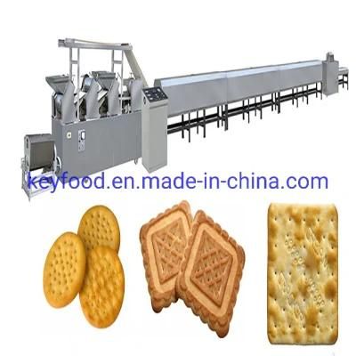 Automatic Production Line to Make Biscuit