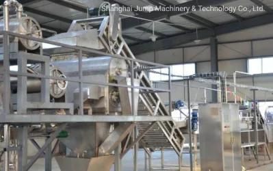 Premium Peach Juice Processing Line From Peach Fruit to Bottled Juice Complete Line ...