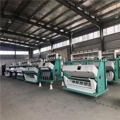 High Capacity Rice Color Sorter Grain Sorting Machine of Agriculture Rice Machinery