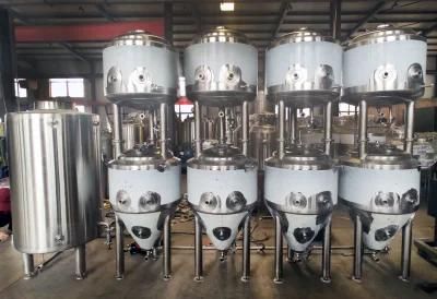 100L Stainless Steel Beer Brewing Equipment for Brewery
