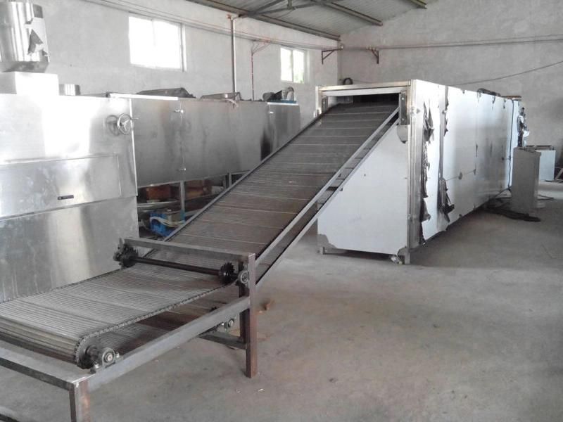 Tunnel Typre Food Oven Dryer for Snack and Frying Food