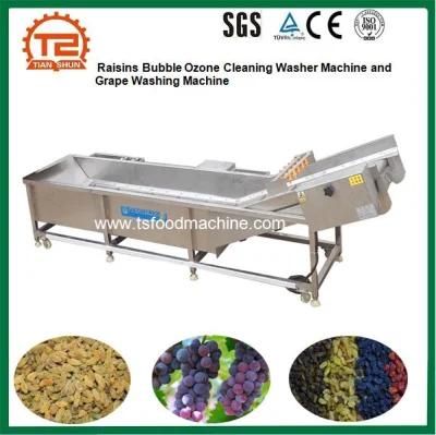 Raisins Bubble Ozone Cleaning Washer Machine and Grape Washing Machine for Sale