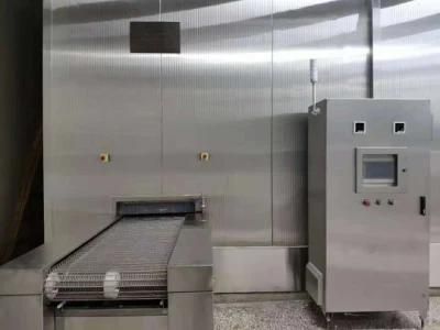 IQF Spiral Freezer for Shrimp and Fish Fillet