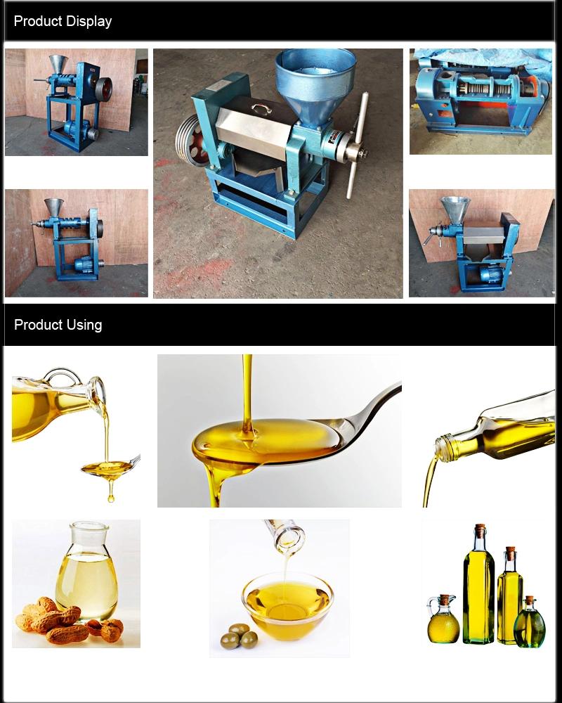 45kg Cocoa Pumpkin Extraction Hydraulic Cold Mini Oil Press Machine