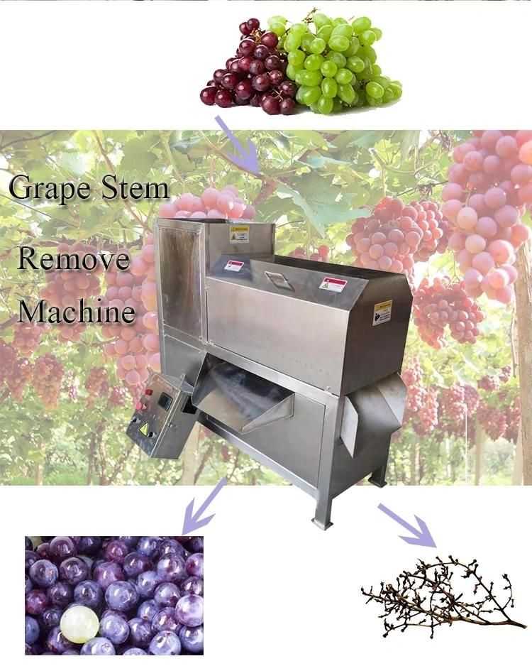 Grape Destemming Machine Grape Threshing Machine Grap Sterm Removing Machine