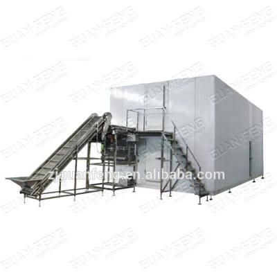 High Efficiency IQF Freezer for Food Quick Freezing Process