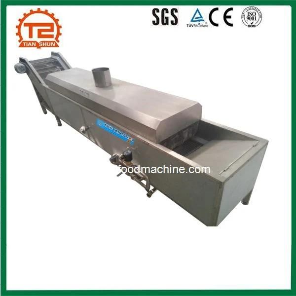 Food Processing Blancher Equipment Hazelnut Steam Blanching Machine