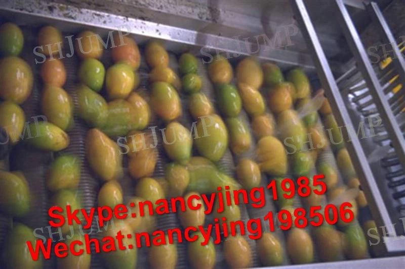 Mango Juice Processing Equipments