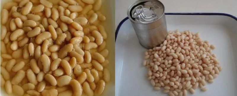 Canned Dried Cooked Purple Speckled Long Shape White Kidney Beans Cooking Machine