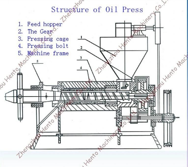 Best Sale Oil Press For Oil Crops