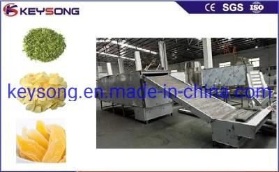 Fresh Fruit Drying Dryer Machine Food Processing Line Drying Machine