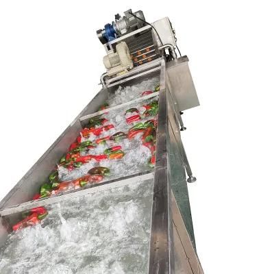 Automatic Stainless Steel Fruit and Vegetable Cleaning Machine